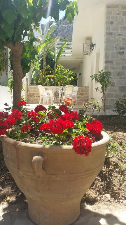 Antonios Hotel Apartments Matala Zewnętrze zdjęcie