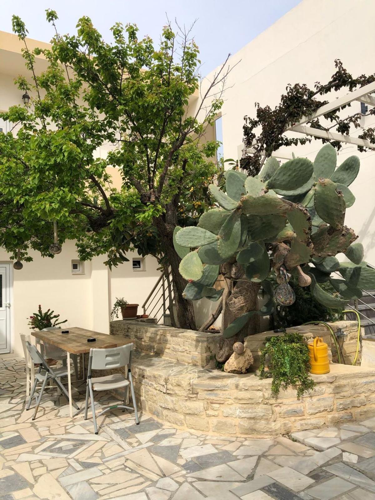 Antonios Hotel Apartments Matala Zewnętrze zdjęcie